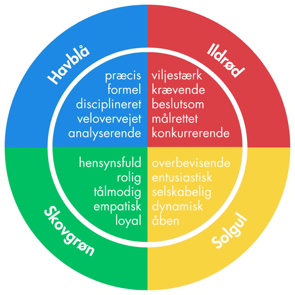 Insights Discovery Profile